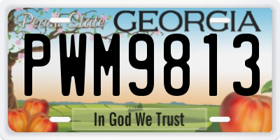 GA license plate PWM9813