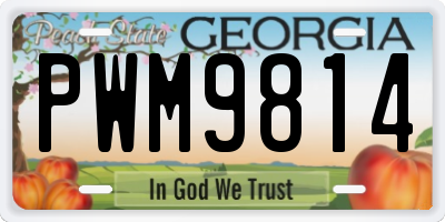 GA license plate PWM9814