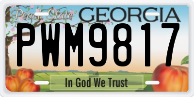 GA license plate PWM9817
