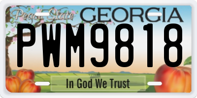 GA license plate PWM9818