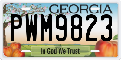 GA license plate PWM9823