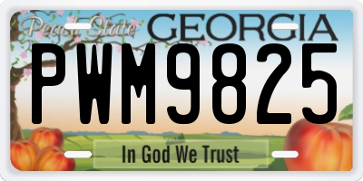 GA license plate PWM9825