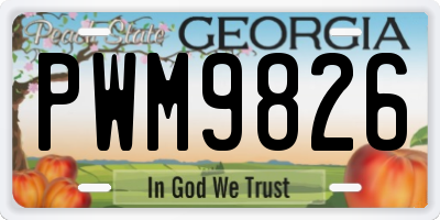 GA license plate PWM9826