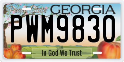 GA license plate PWM9830