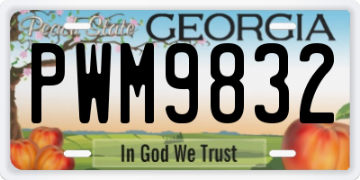 GA license plate PWM9832
