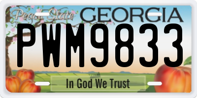 GA license plate PWM9833