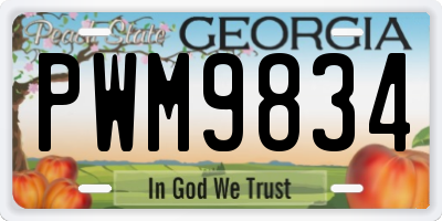 GA license plate PWM9834