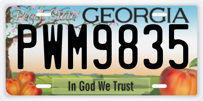 GA license plate PWM9835