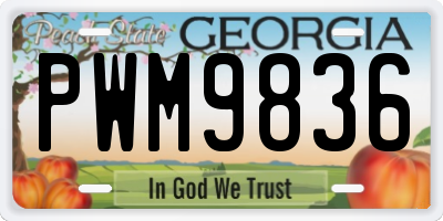 GA license plate PWM9836