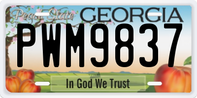 GA license plate PWM9837