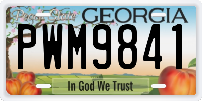 GA license plate PWM9841