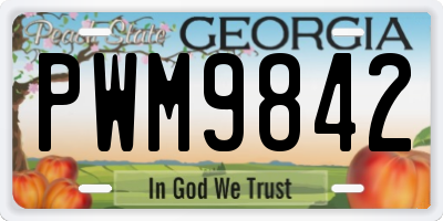 GA license plate PWM9842