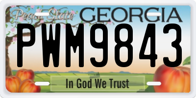 GA license plate PWM9843