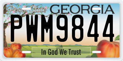 GA license plate PWM9844