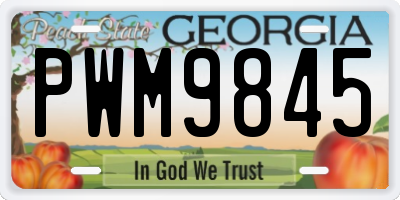 GA license plate PWM9845
