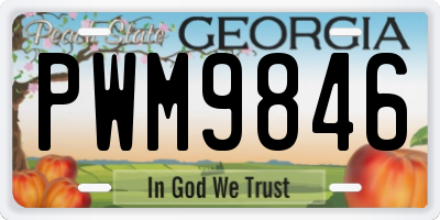 GA license plate PWM9846