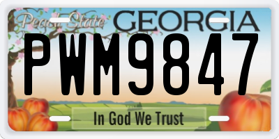 GA license plate PWM9847