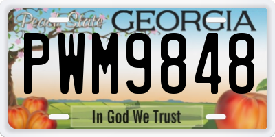GA license plate PWM9848