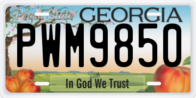 GA license plate PWM9850