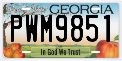 GA license plate PWM9851