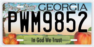 GA license plate PWM9852