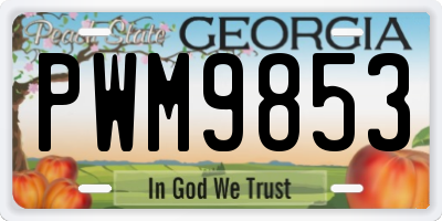 GA license plate PWM9853