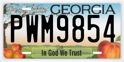 GA license plate PWM9854