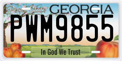GA license plate PWM9855