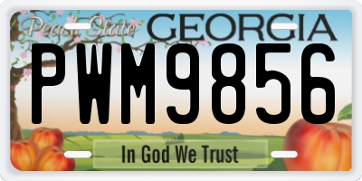 GA license plate PWM9856