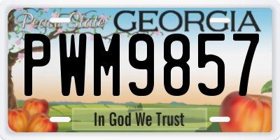 GA license plate PWM9857