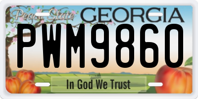 GA license plate PWM9860