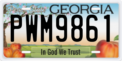 GA license plate PWM9861