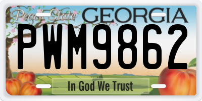 GA license plate PWM9862
