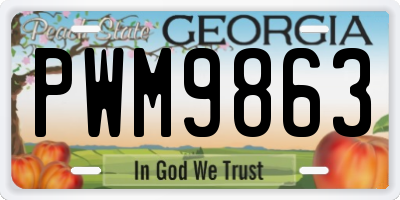 GA license plate PWM9863