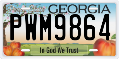 GA license plate PWM9864