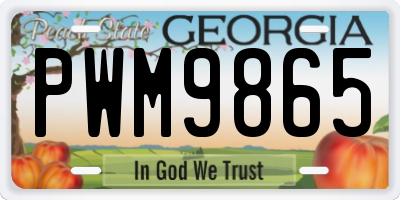 GA license plate PWM9865