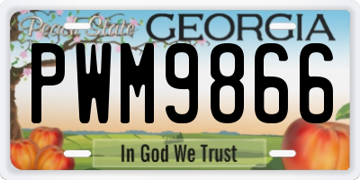 GA license plate PWM9866