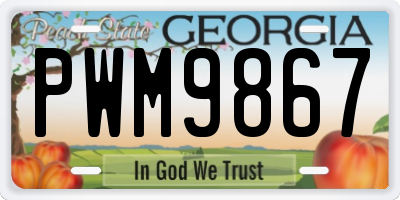 GA license plate PWM9867
