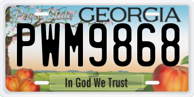 GA license plate PWM9868