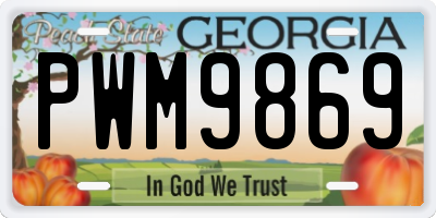 GA license plate PWM9869