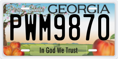 GA license plate PWM9870