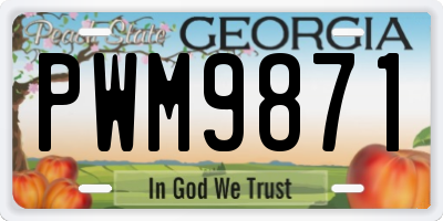 GA license plate PWM9871