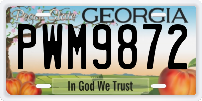 GA license plate PWM9872