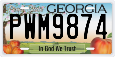GA license plate PWM9874
