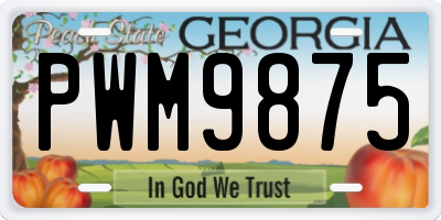 GA license plate PWM9875