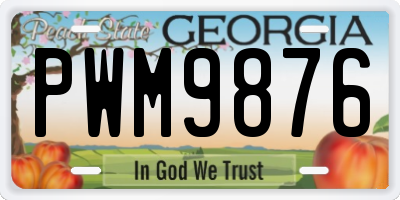 GA license plate PWM9876