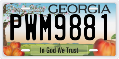 GA license plate PWM9881