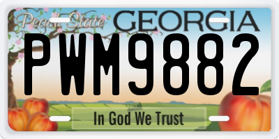 GA license plate PWM9882