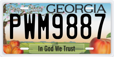 GA license plate PWM9887