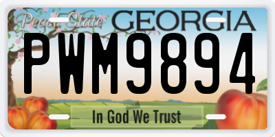 GA license plate PWM9894
